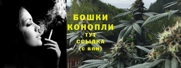 винт Касимов