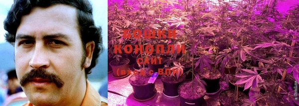 винт Касимов