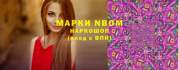 стаф Карталы