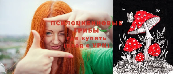 винт Касимов