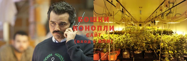 стаф Карталы