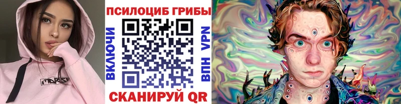 Псилоцибиновые грибы Psilocybine cubensis  Купить  Дмитровск 